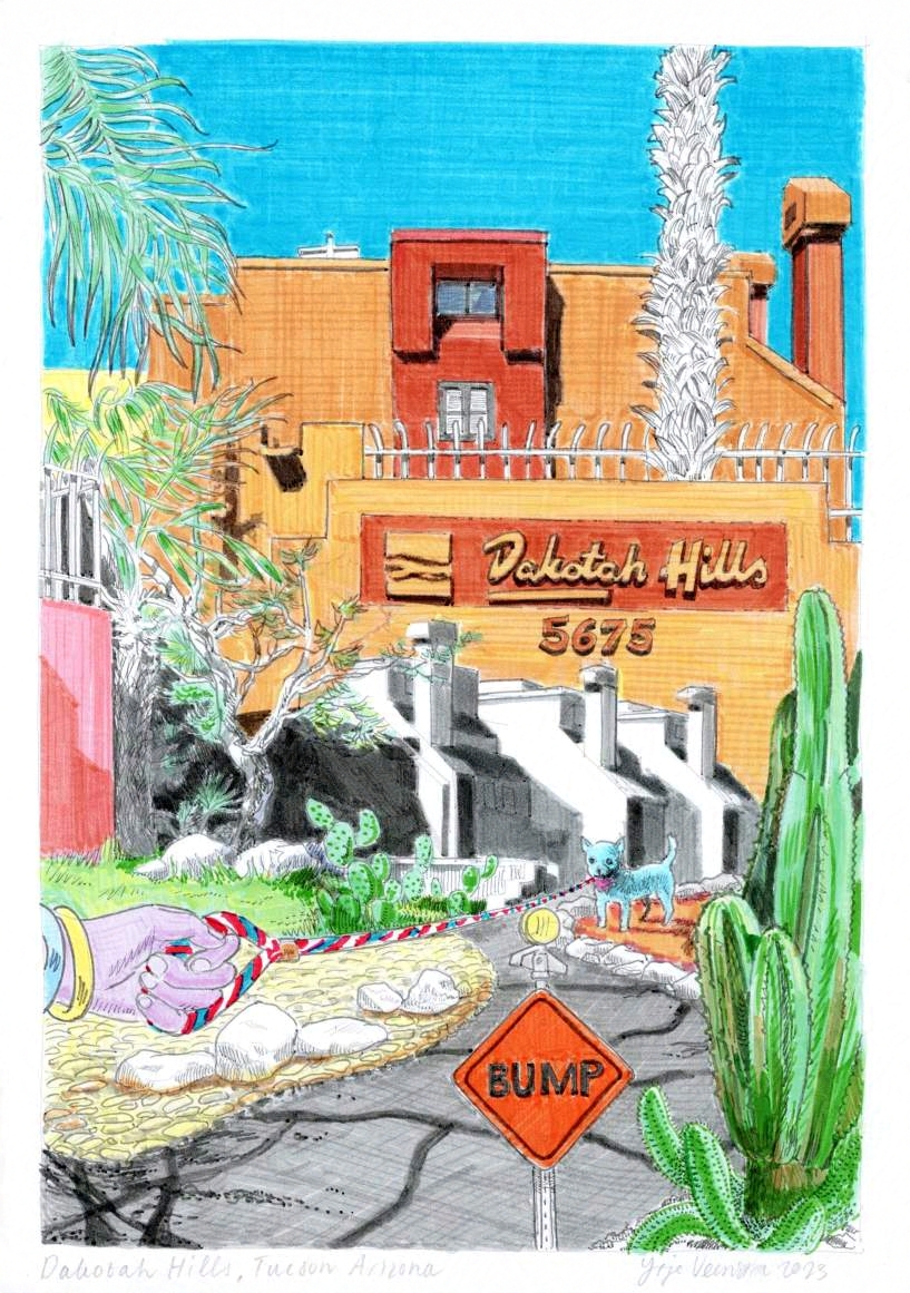The Catalina Foothills: Apartments — image 1
